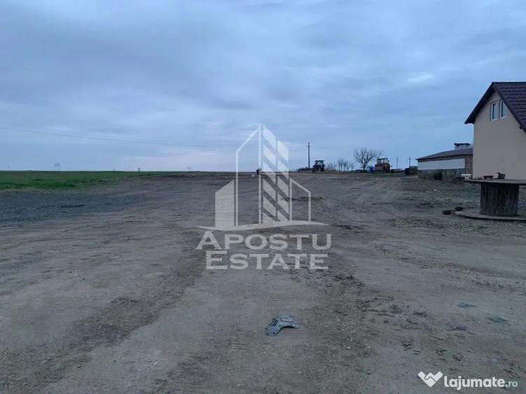 Teren de 2635 mp, în Zăbrani