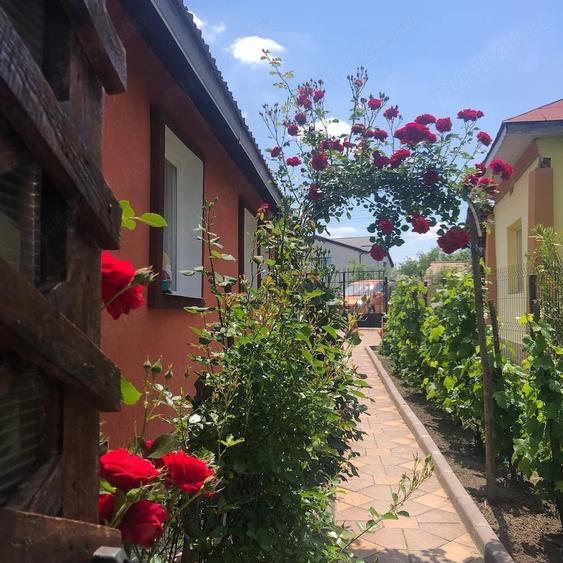 Casă cu Teren 2750 Mp în Vulpeni