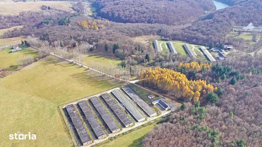 Teren de 186000 mp, în Dumbrăvița