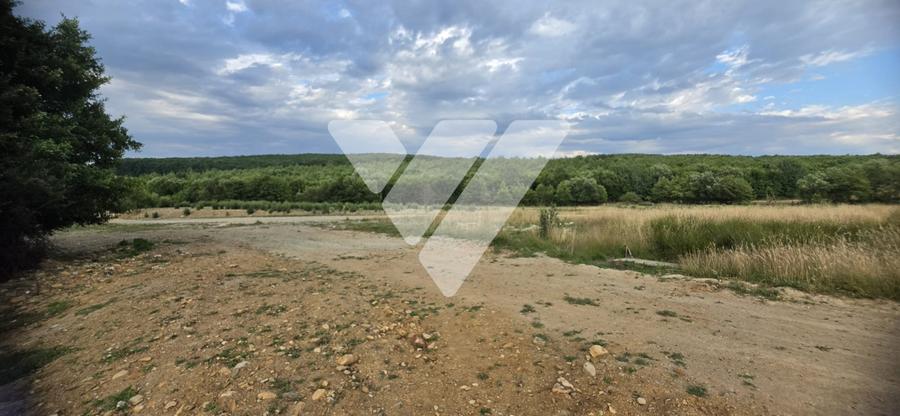 Teren Construcții intravilan de 2014 mp, în Sadu