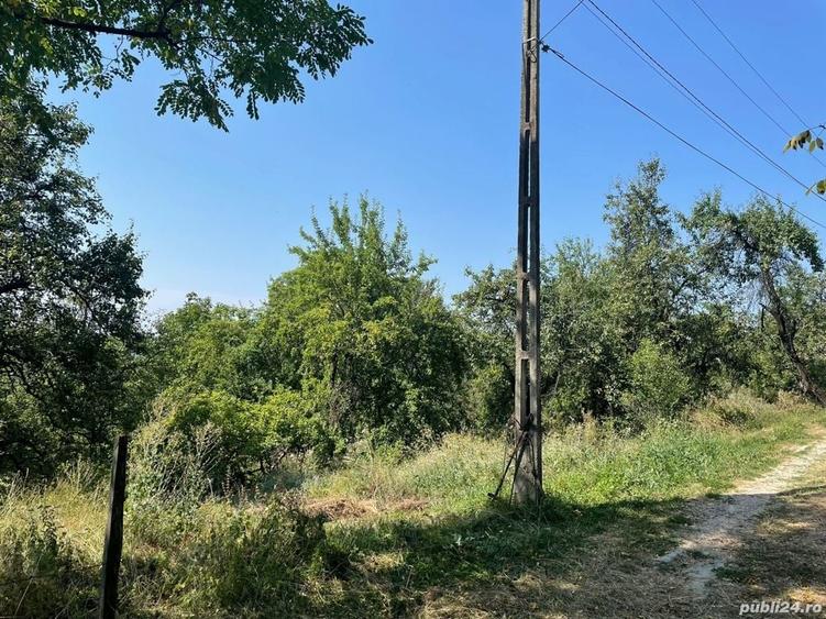 Teren de 3873 mp, în Central