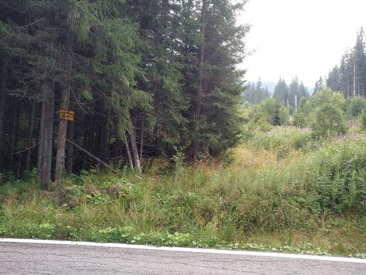 Teren în Vidra