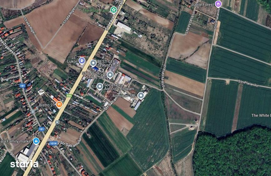 Teren de 6900 mp, în Ciolpani