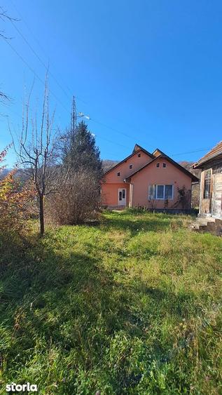 Casă cu 3 camere cu Teren 9000 Mp în Valea Borcutului