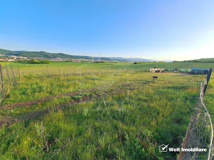 Teren agricol extravilan de 2900 mp, în Florești