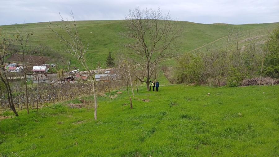 Teren de 10639 mp, în Central