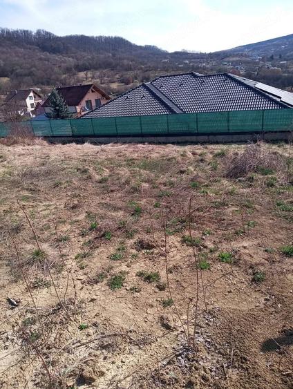 Teren de 600 mp, în Central