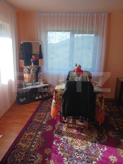 Casă individuală cu 2 camere cu Teren 3800 Mp în Brad
