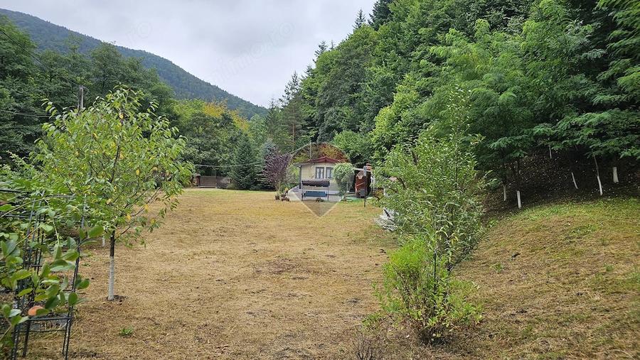Casă cu Teren 2212 Mp în Alexandru cel Bun