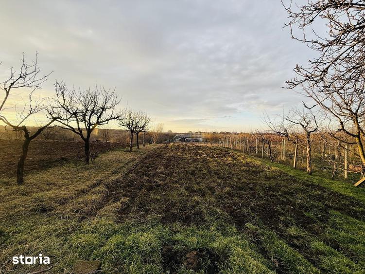 Casă cu 3 camere cu Teren 720 Mp în Paleu