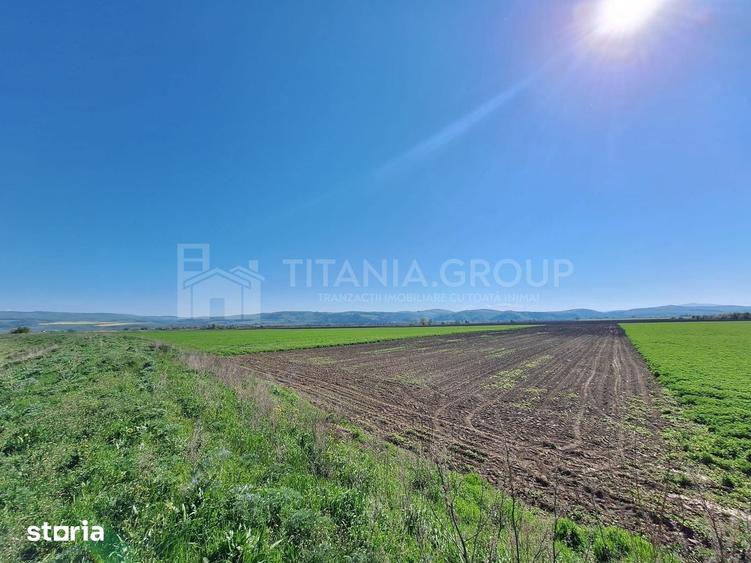 Teren de 8700 mp, în Bod