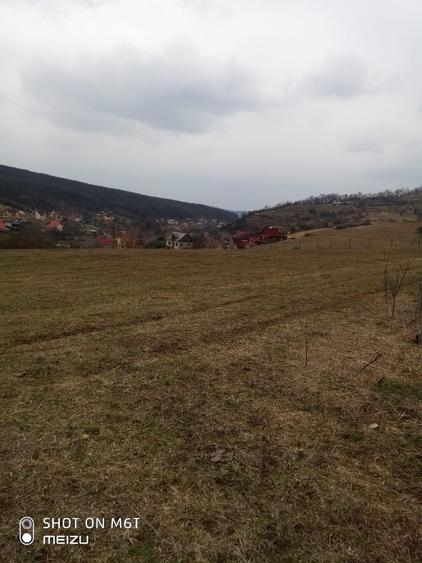 Oportunitate Investitie: Teren 8.000 mp Bistrita Valea Ghinzii - 3
