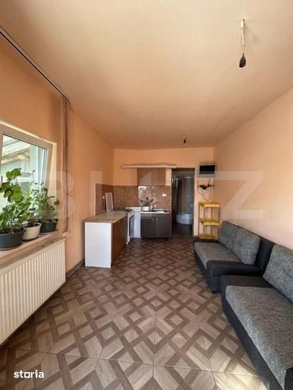 Casa individuala, 190 mp, curte generoasa cu gradina, zona Ronat - 2