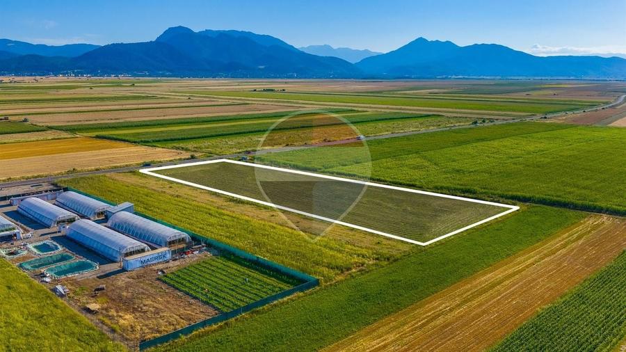 Teren Construcții intravilan de 7500 mp, în Tărlungeni