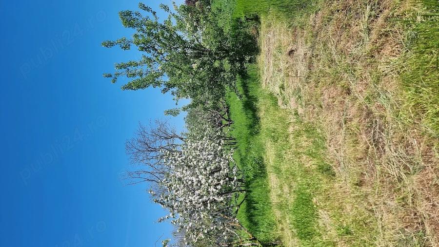 Teren de 3000 mp, în Călăreți