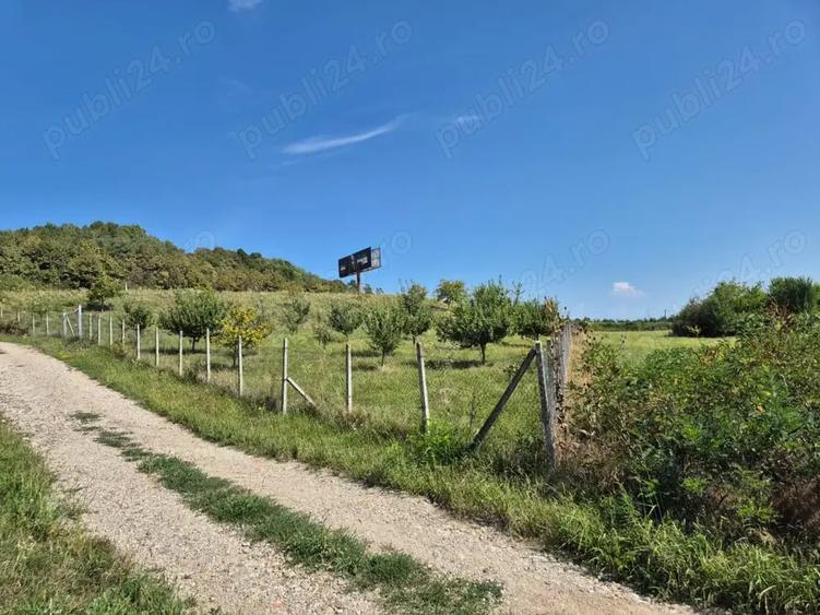 Teren de 12300 mp, în Crainimăt