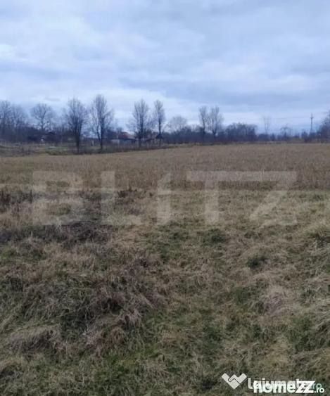 Casă cu 4 camere cu Teren 5450 Mp în Central