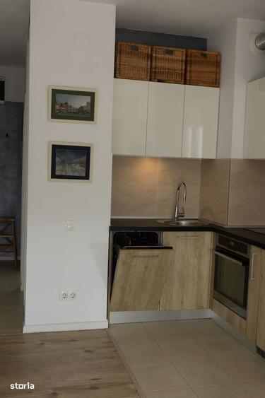Studio cu vedere larga, investitie - 5