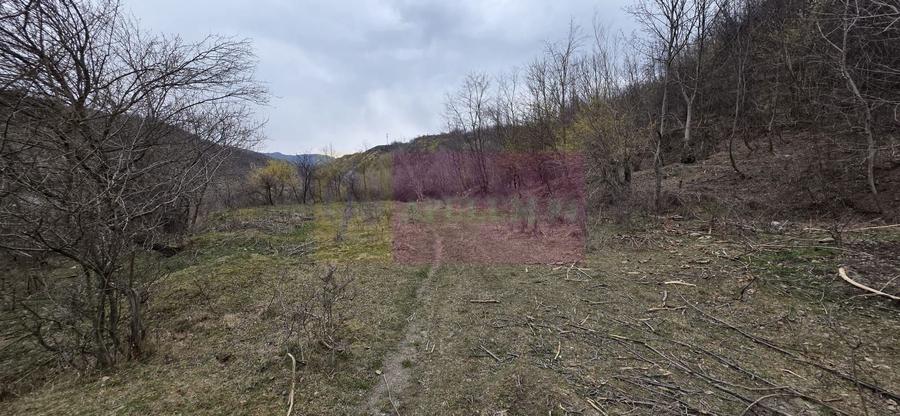 Teren agricol extravilan de 1006 mp, în Brebu