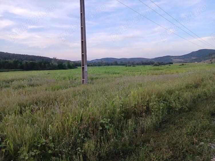 Teren de 30000 mp, în Lupoaia