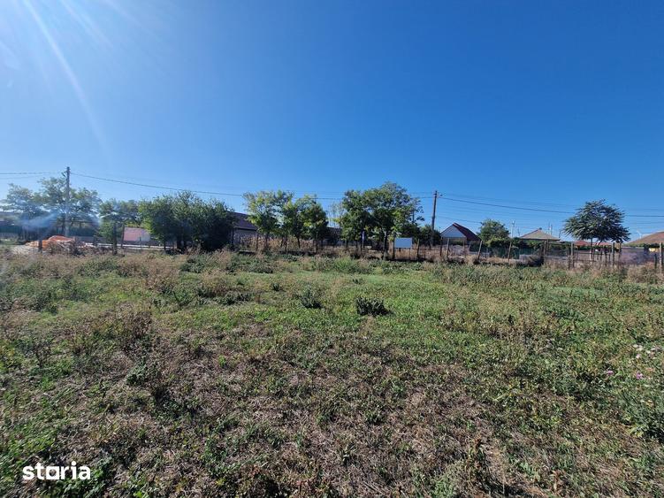 Teren de 1677 mp, în Cogealac