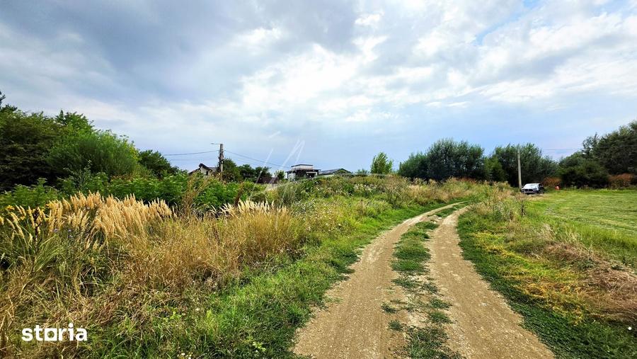 TEREN INTRAVILAN DE VANZARE POZI?IONARE EXCELENTA LANGA PADURE - 8