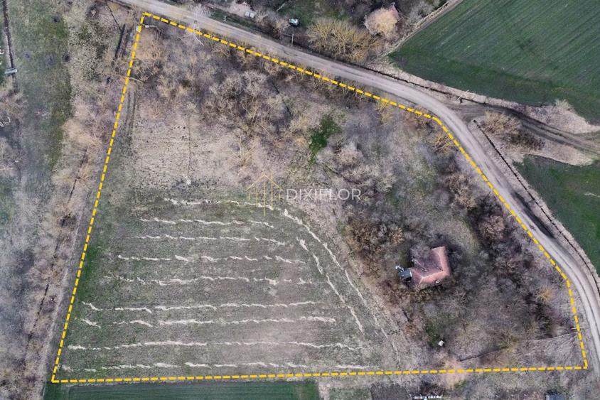 Teren agricol extravilan de 11600 mp, în Ceuașu de Câmpie