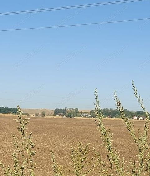 Teren de 8400 mp, în Central