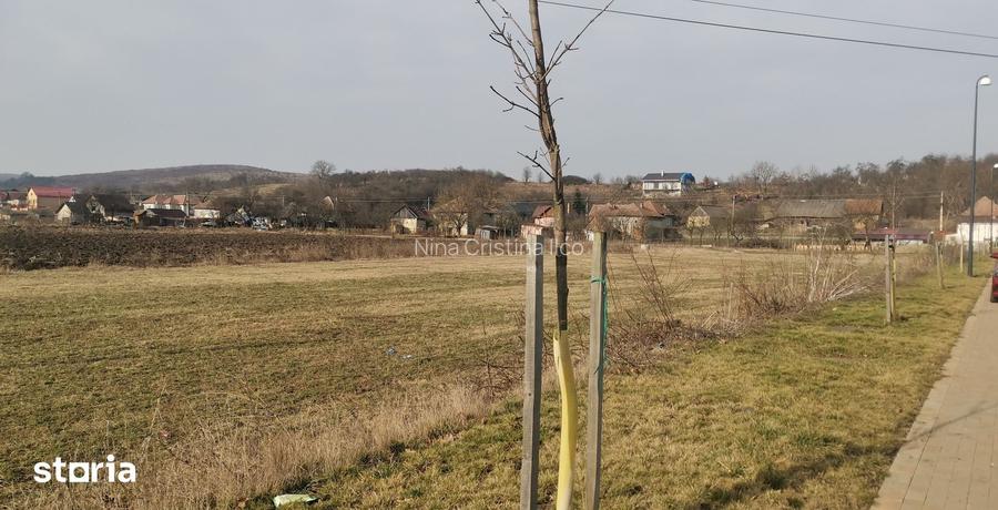 teren intravilan Colina Noua