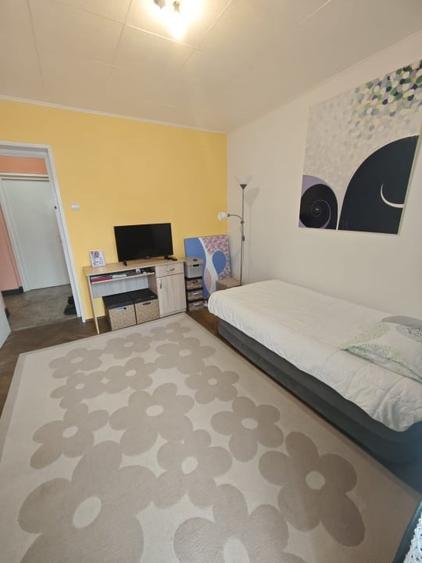 Apartament cu 4 camere decomandat, mobilat în Săsar
