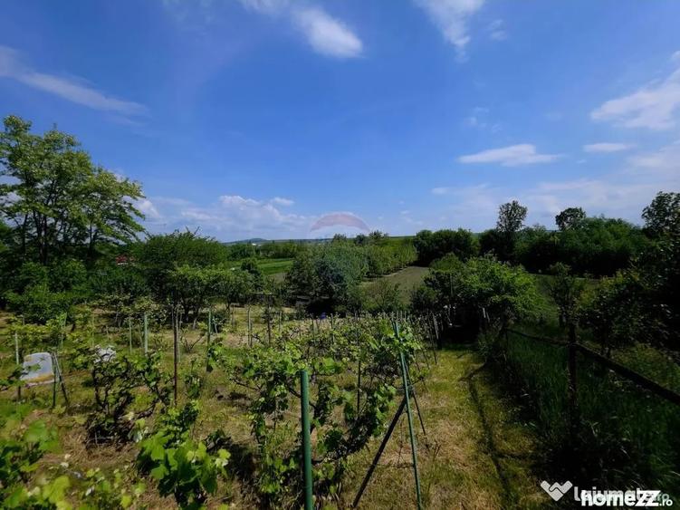 Teren de 4516 mp, în Doina