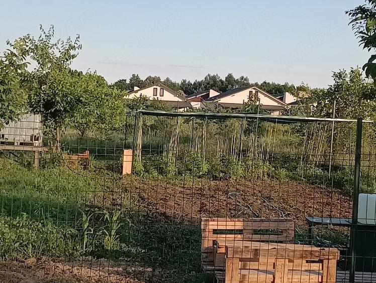 Teren Domne?i Bragadiru de vanzare - 4