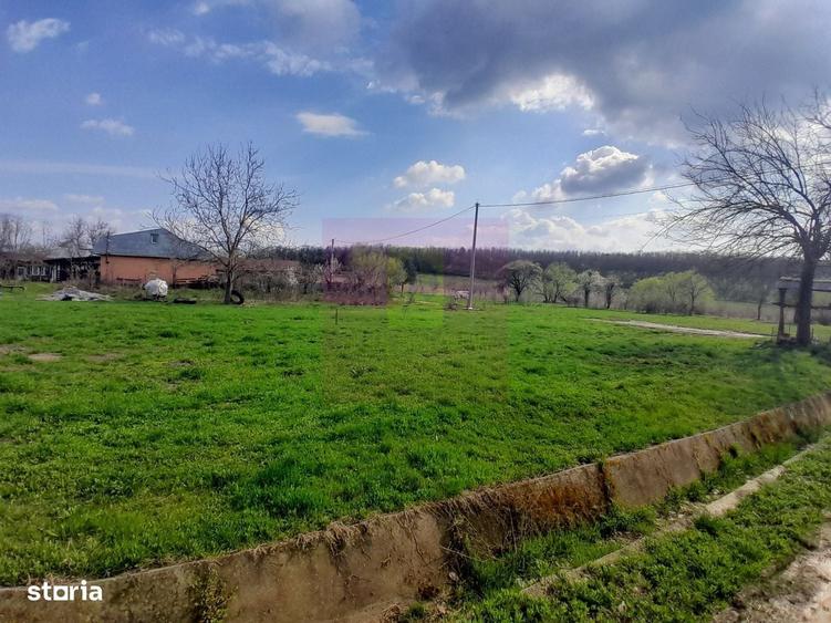 Spațiu comercial, în Buturugeni