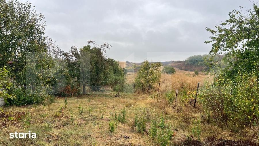 Teren de 4400 mp, în Mischii