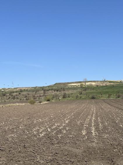 Teren de 7500 mp, în Ipotești