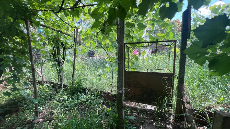 Casă individuală cu 4 camere cu Teren 2921 Mp în Olteni