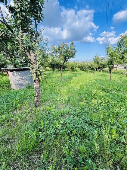 Casă cu 14 camere cu Canalizare în Sânmartin