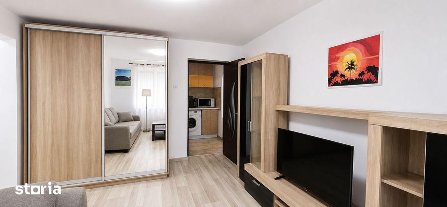 Apartament 2 camere de vanzare Pia?a Victoriei, Intrarea Doctor Felix - 5