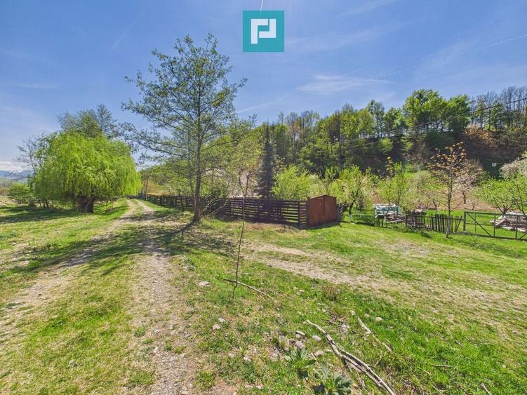 Casă individuală cu 5 camere cu Teren 8000 Mp în Câmpani