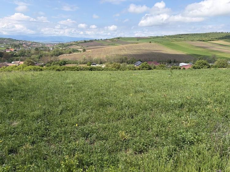 Teren de 2500 mp, în Șura Mare