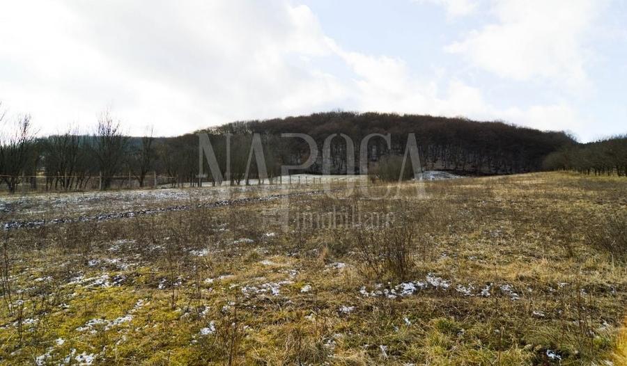 Teren Construcții extravilan de 6300 mp, în Popești