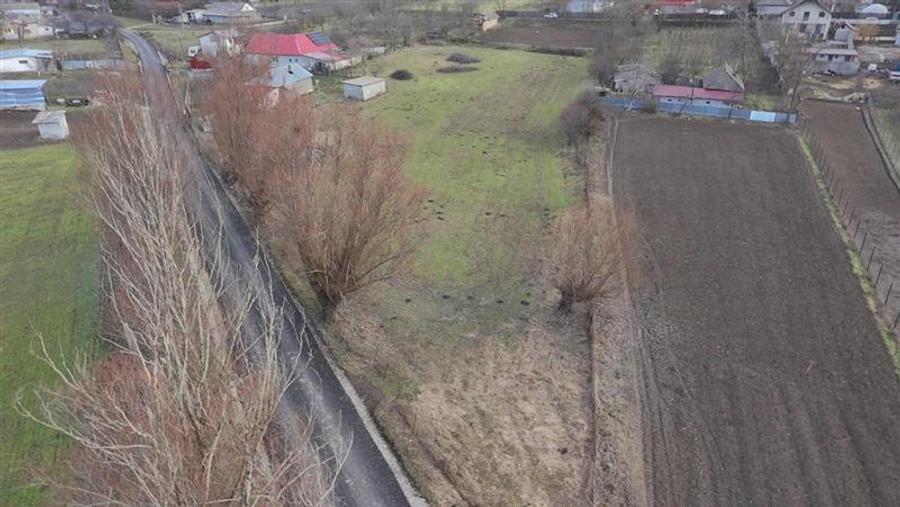 Teren Construcții intravilan de 4931 mp, în Frecăței