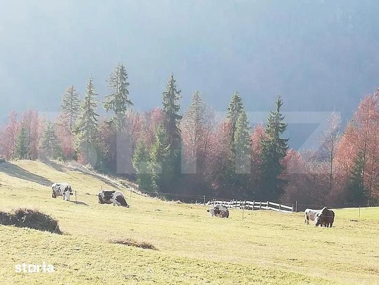Teren de 2050 mp, în Scărișoara