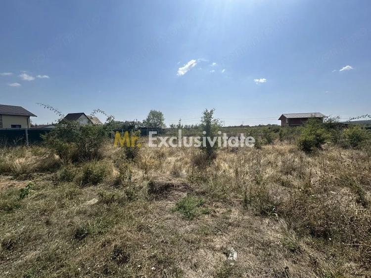 Teren zona Magic Trivale intravilan 1040 mp - 6