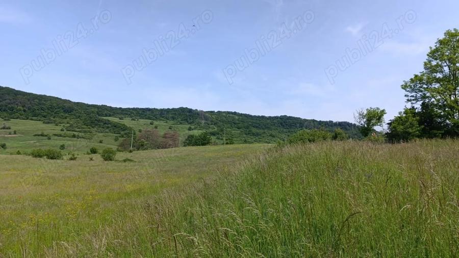 Teren de 30000 mp, în Saschiz