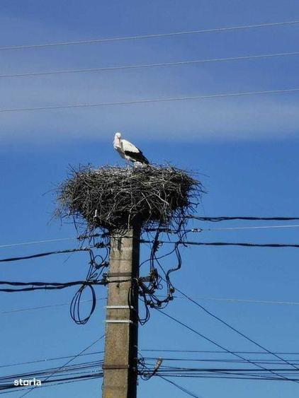 Teren de 29167 mp, în Râșca