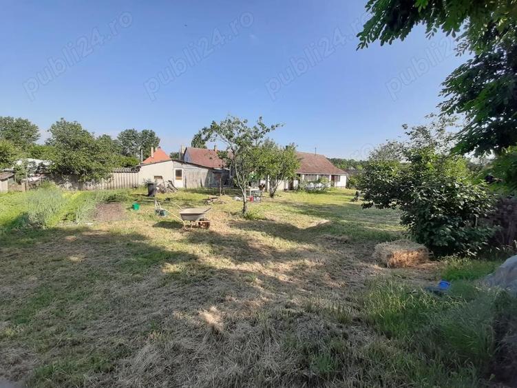 Casă cu 2 camere cu Teren 2000 Mp în Central