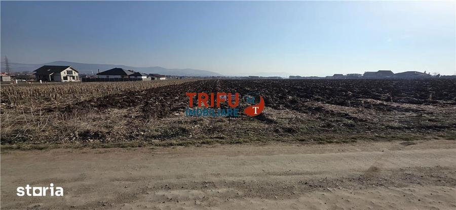 Teren de vanzare 2097mp strada Nazaret Ilit - 3