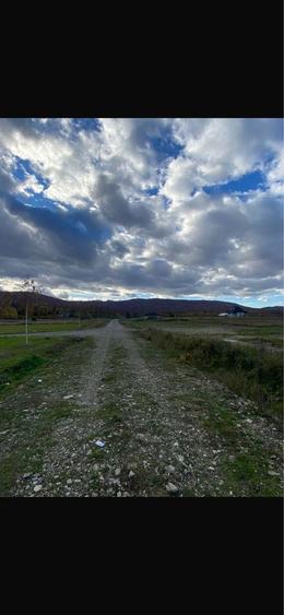 Teren de 2500 mp, în Horodnic