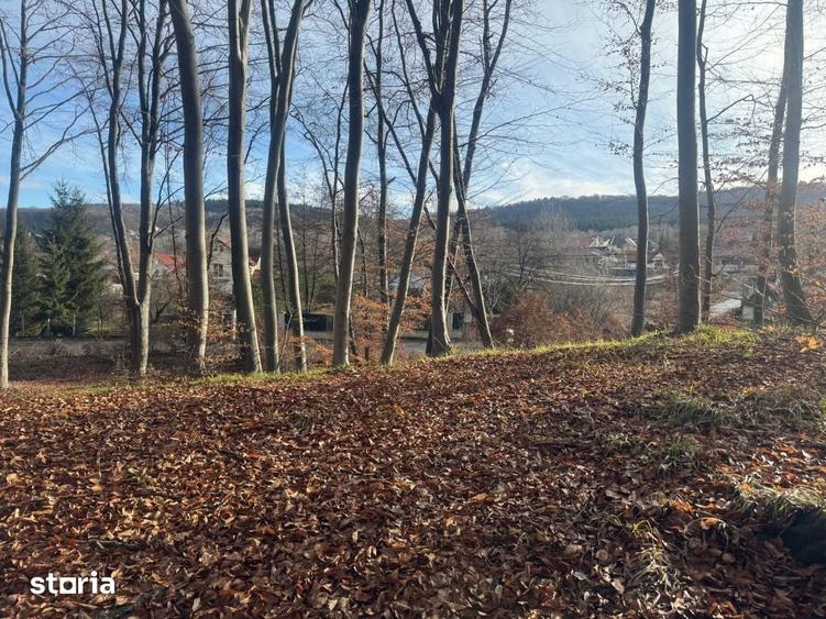 Teren de 3500 mp, în Făget